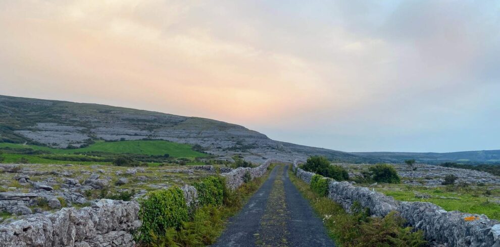 Ballyvaughan Wood Loop, Ballyvaughan, Burren National Park, Co Clare_Web Size